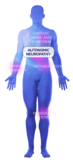Human body outline highlighting areas affected by mixed-phenotype ATTR