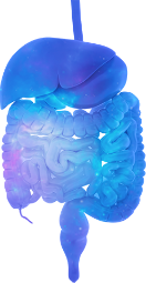 Autonomic neuropathy illustration