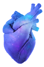 Heart illustrating cardiac signs and symptoms