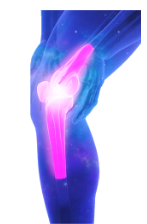 Leg and knee illustrating musculoskeletal symptoms