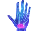 Connective tissue