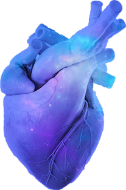 Restrictive HF and HF Hospitalizations