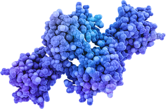 Tetramer dissociates into monomers