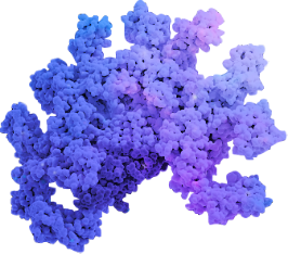 Transthyretin Tetramer Destabilizes